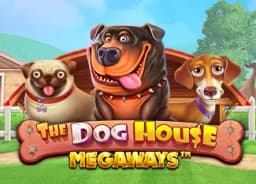 pensacolasgreatest: The Dog House Megaways